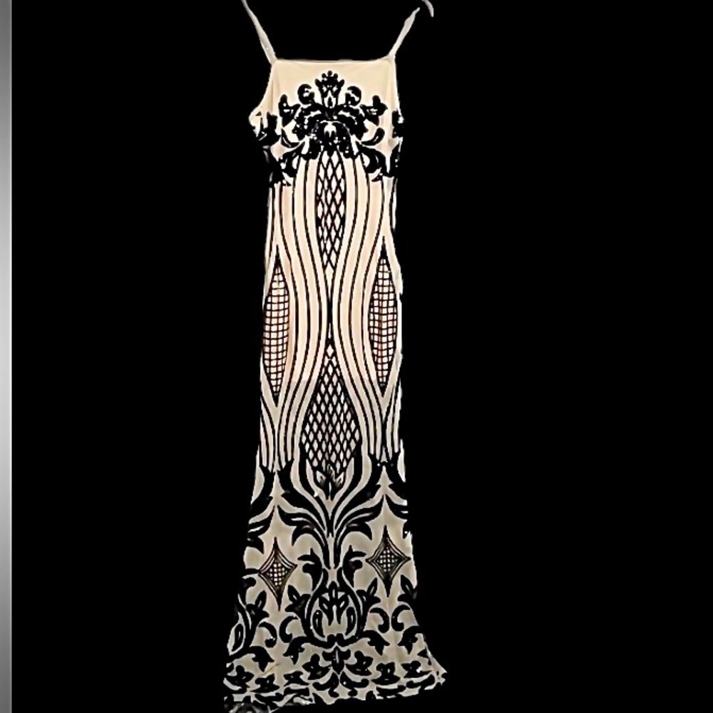 Dellore sequined, mesh, evening dress